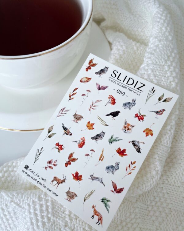SLIDIZ Vesikleepsud No099