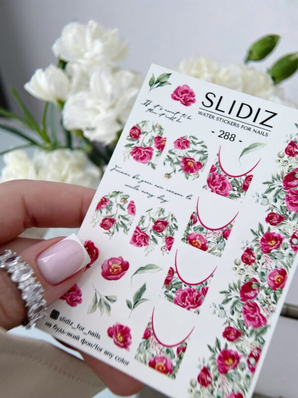 SLIDIZ Vesikleepsud No288