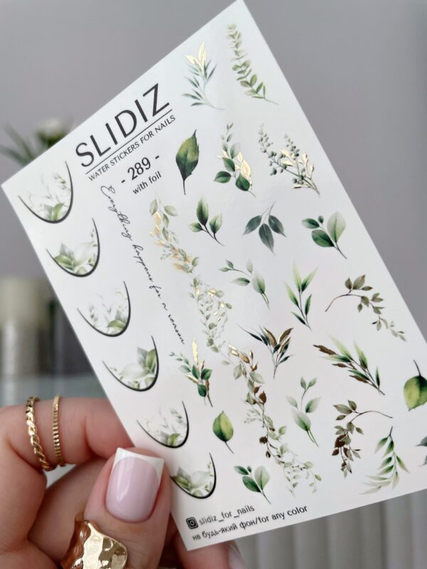 SLIDIZ Vesikleepsud No289